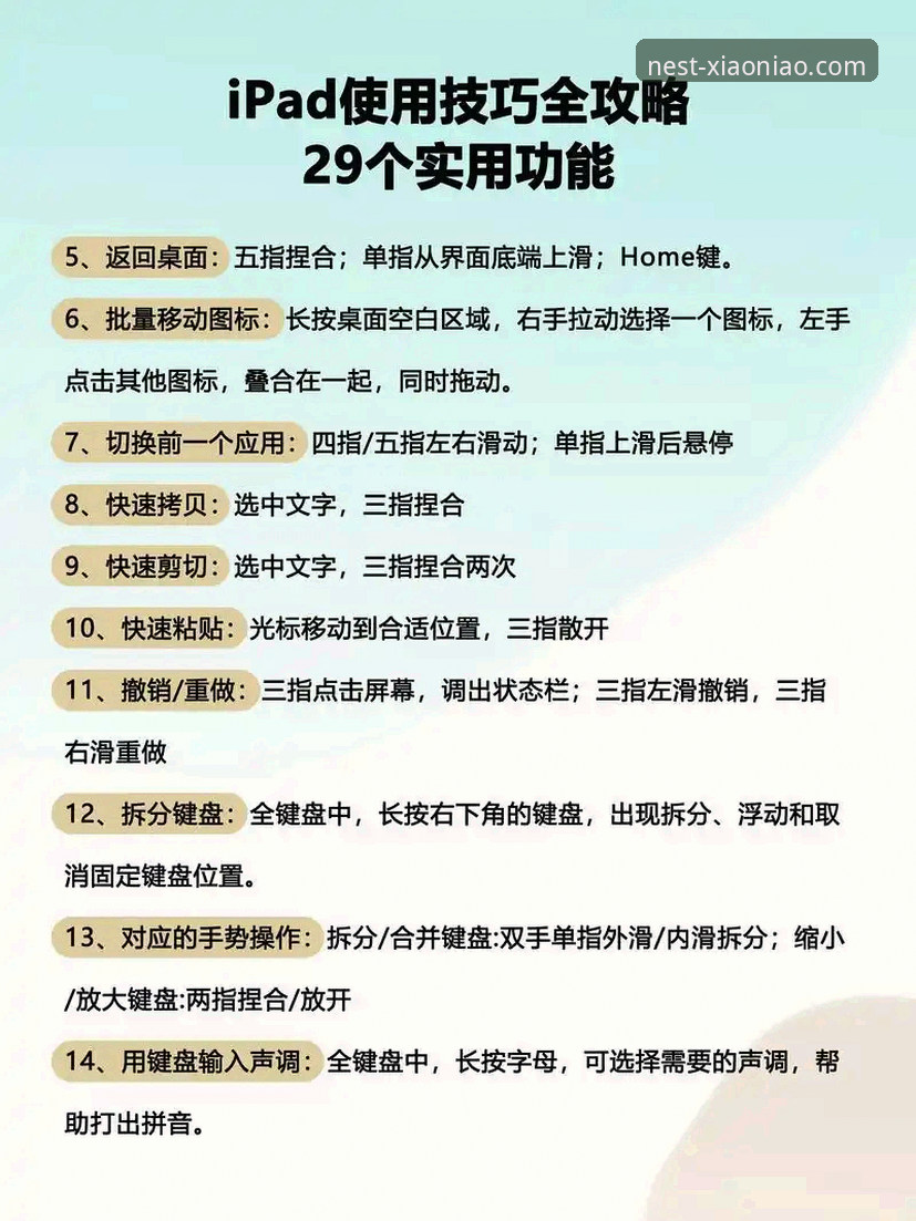 小鸟App使用攻略实用指南：从下载到高阶功能的完整操作手册